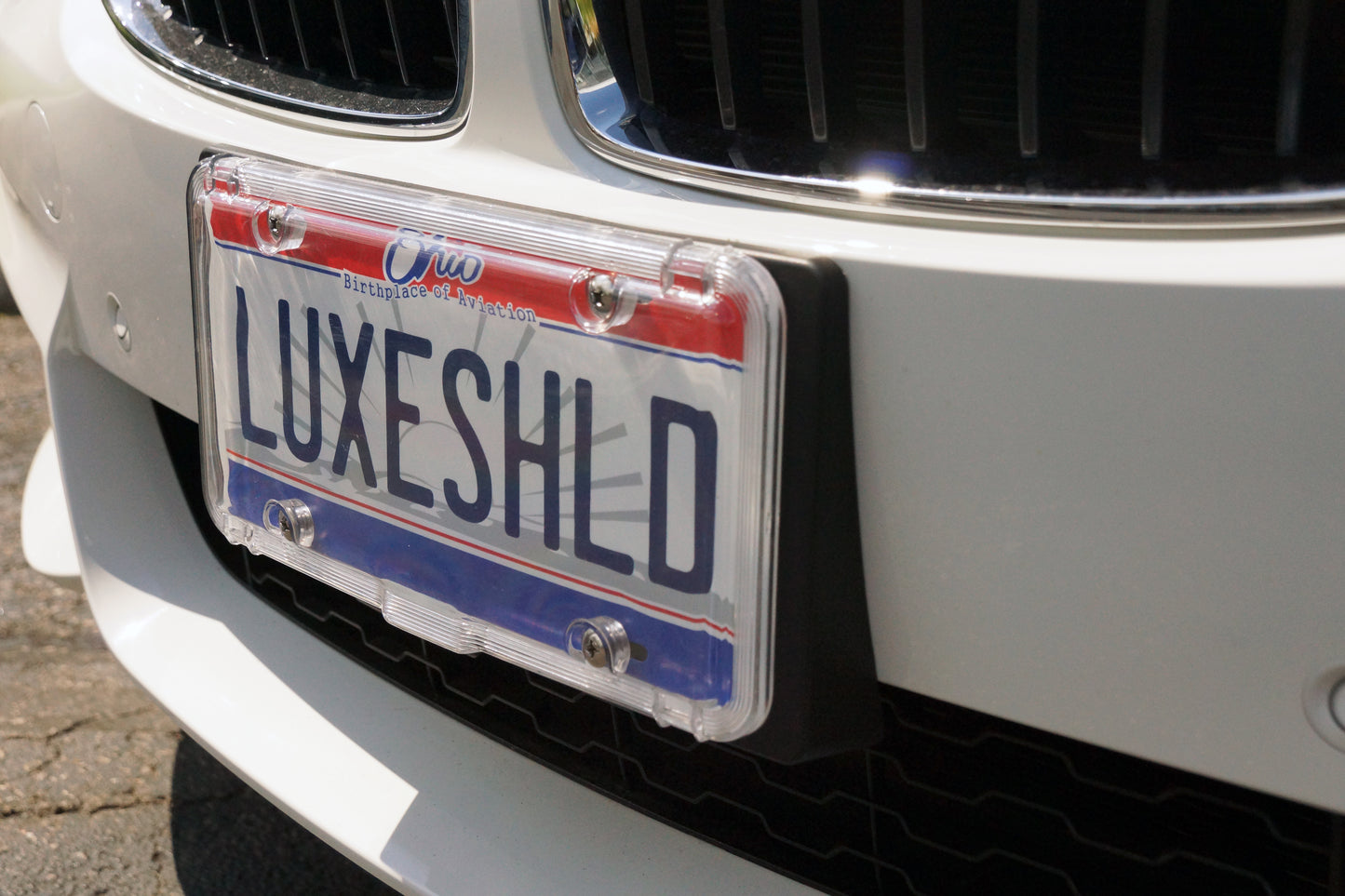 Clear Euro License Plate Cover/Shield